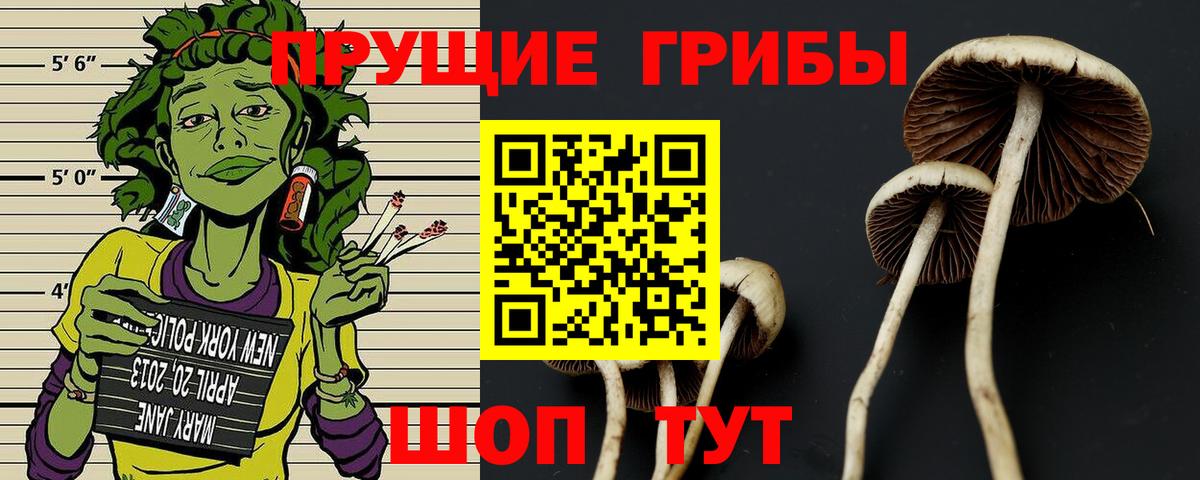 Галлюциногенные грибы Psilocybine cubensis Грязи