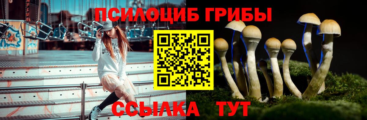 Галлюциногенные грибы мицелий  Галлюциногенные грибы MAGIC MUSHROOMS  Грязи  Вход с VPN 